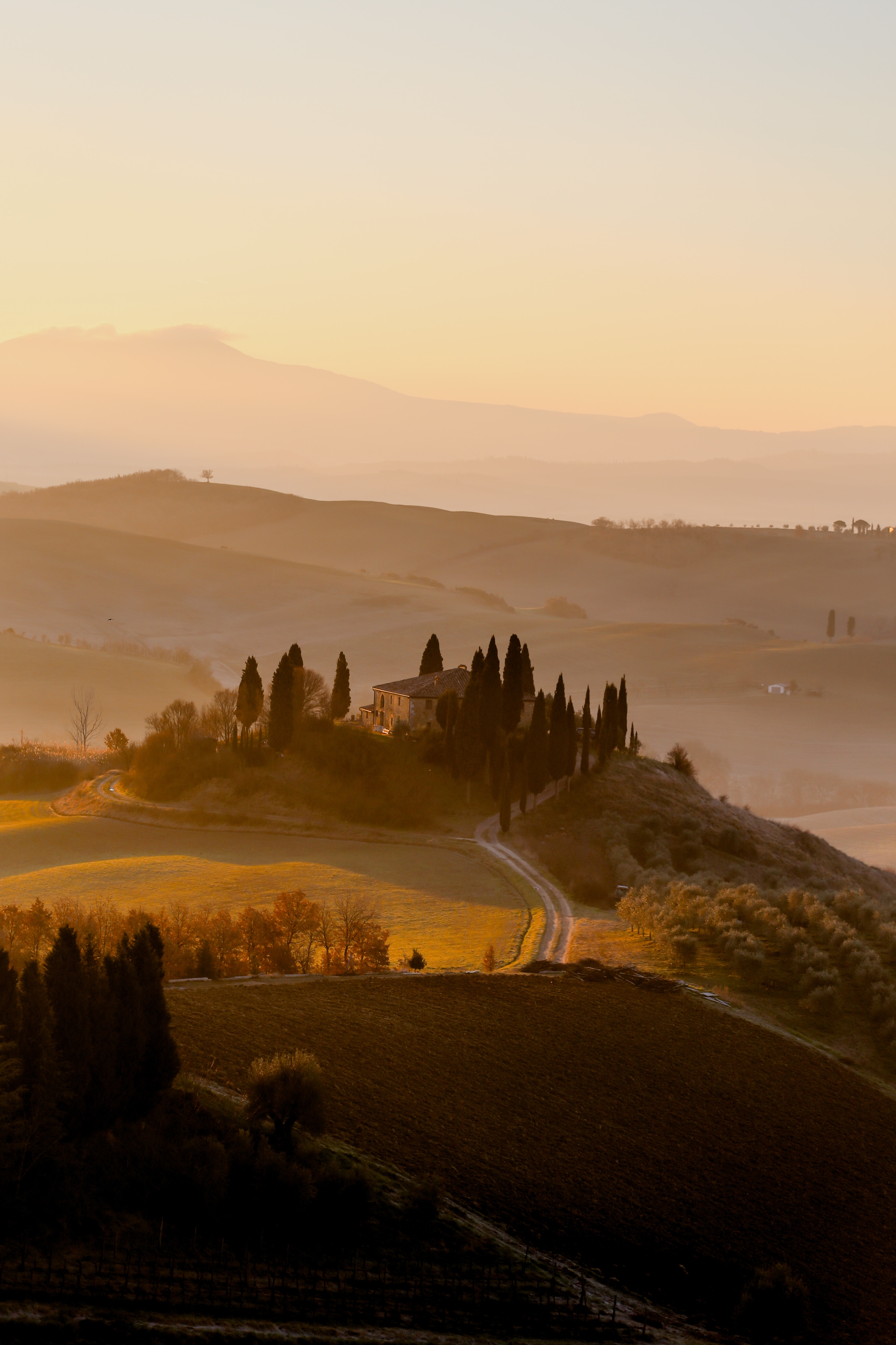 Country side in San Quirico d'Orcia, Italy.
